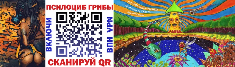 купить   Нижняя Тура  omg ссылки  Псилоцибиновые грибы Magic Shrooms 